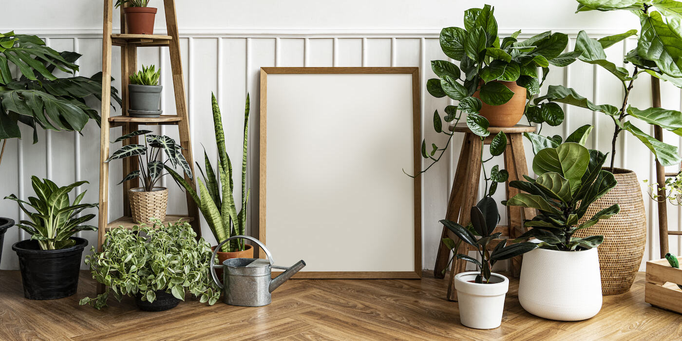 blank-picture-frame-by-houseplant-corner-parquet-floor (1) (1)