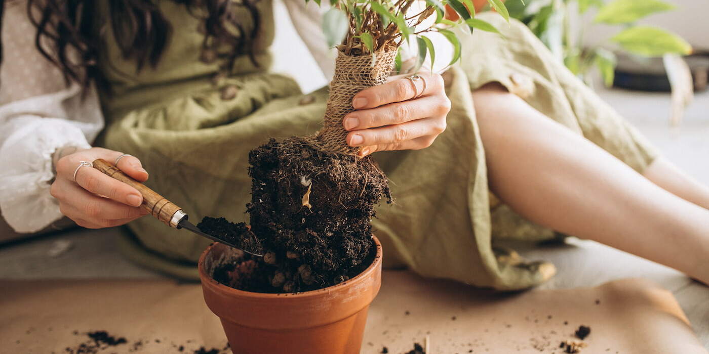 young-woman-cultivating-plants-home (1) (1)