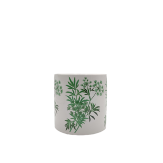 1647248627352__1_-removebg-preview