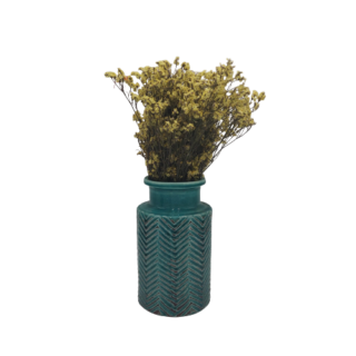 20220308_100049-removebg-preview