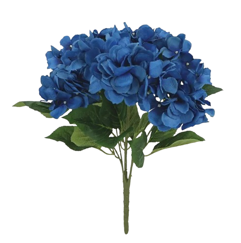 21049-1-removebg-preview