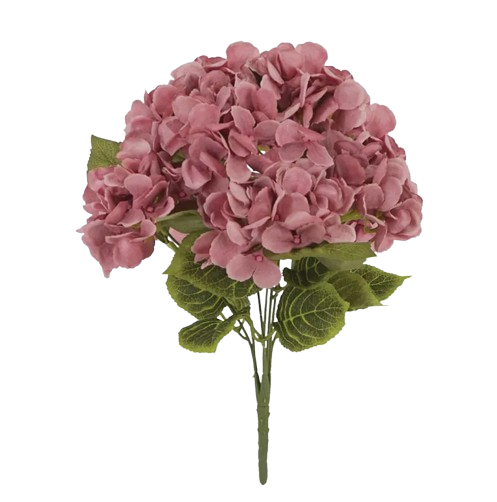 21049-2-removebg-preview