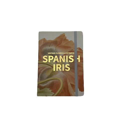 IMG_0595-removebg-preview