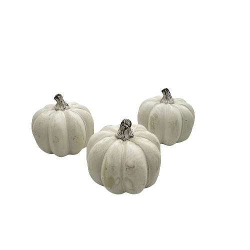 image_67114241-removebg-preview (1)