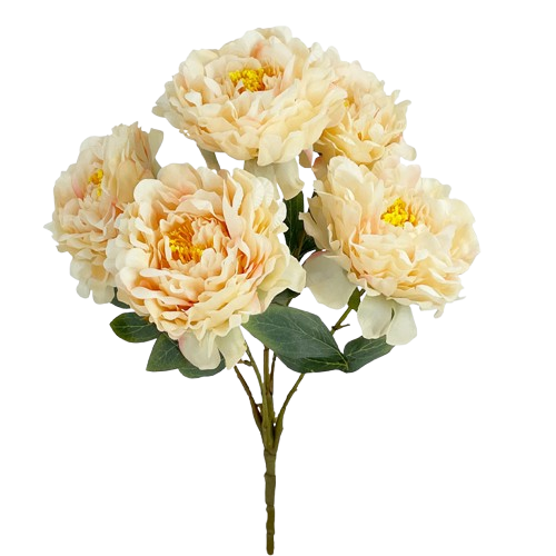 00-00001-4-removebg-preview