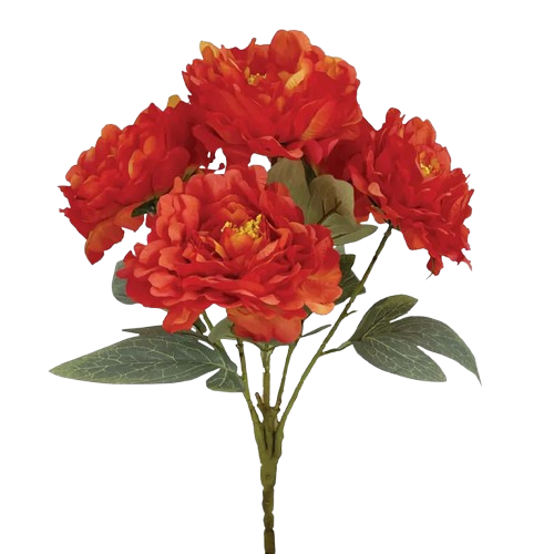 00-00001-7-removebg-preview