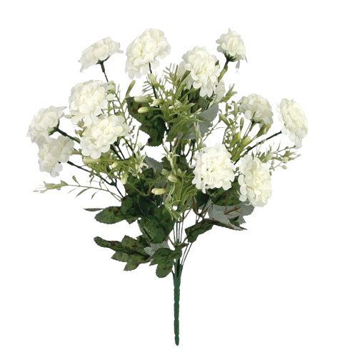 00004-7__1_-removebg-preview