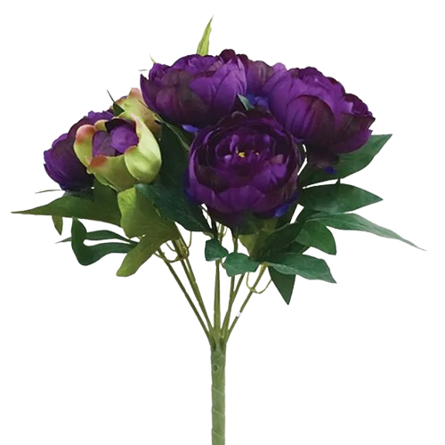 1755_Purple-removebg-preview