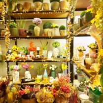 The-Plant-Room_Autumn