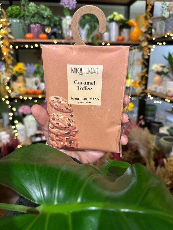 αρωματικό ντουλάπας caramel toffee φακελάκι, The Plant Room